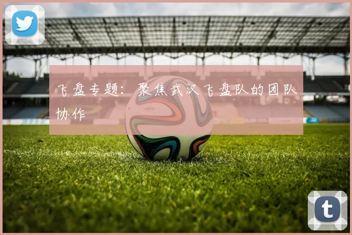 飞盘专题：聚焦武汉飞盘队的团队协作