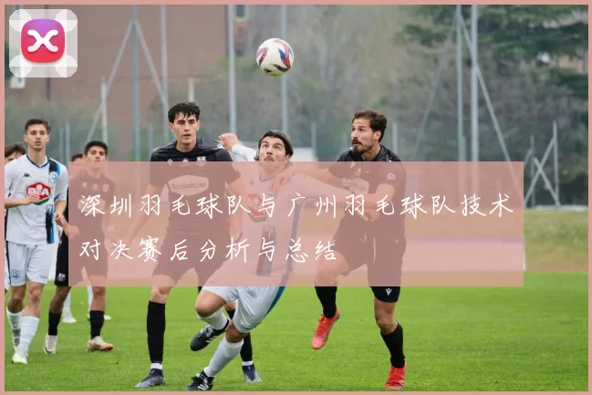 深圳羽毛球队与广州羽毛球队技术对决赛后分析与总结
