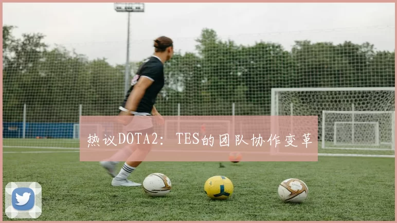 热议DOTA2：TES的团队协作变革