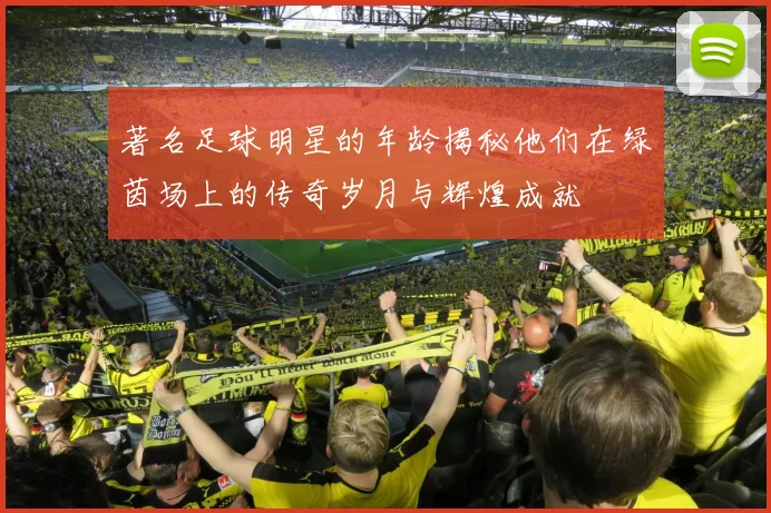 著名足球明星的年龄揭秘他们在绿茵场上的传奇岁月与辉煌成就