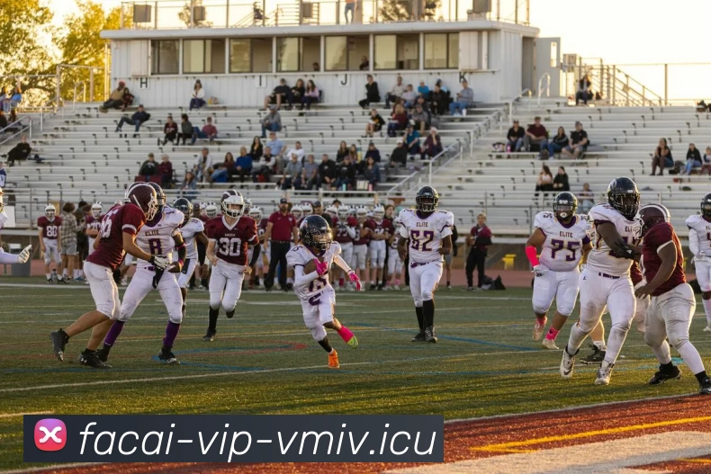 多媒体互动体验