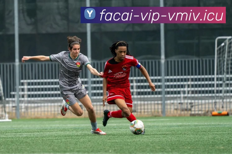 乐鱼体育APP 高清赛事图